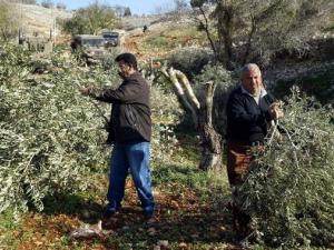 صورة توضيحية