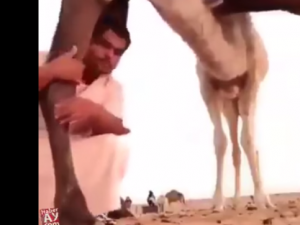 منوعات