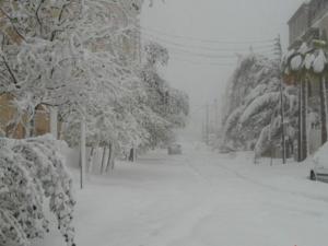 اخبار الثلوح
