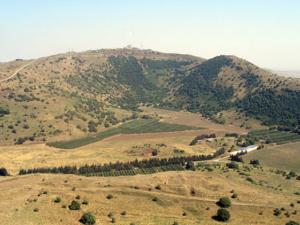 الجولان