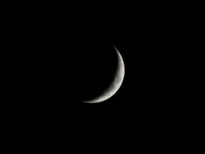عيد الفطر