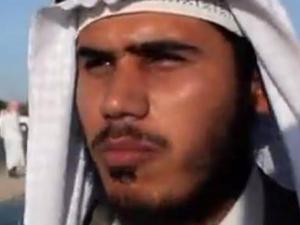 والي سيناء
