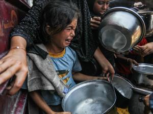 اليونيسف: خطر المجاعة يتفاقم بمدينة غزة والوضع في القطاع كارثي (مقابلة)