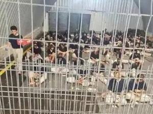 "هيومن رايتس ووتش": تقارير الاغتصاب والعنف الجنسي ضد الأسرى الفلسطينيين تتطابق مع تحقيقاتنا