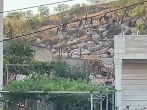 إصابة مستوطنين وعدد من الفلسطينيين في هجوم واسع على بلدة دير جرير 