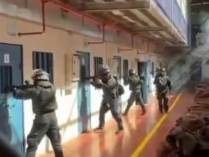 تحرشات وتفتيش مهين بحق الأسيرات في الدامون