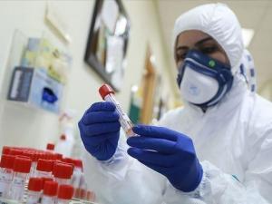 18 وفاة و2311 إصابة جديدة بفيروس "كورونا" خلال الـ24 ساعة الماضية