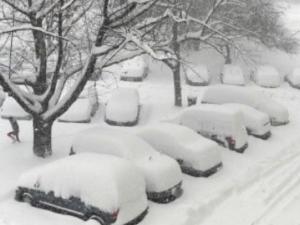 اخبار فلسطين