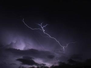 اخبار فلسطين