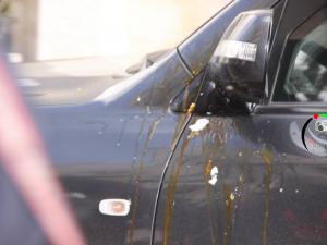 القاء البيض