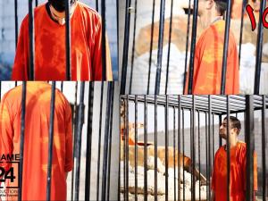 الطيار الاردني