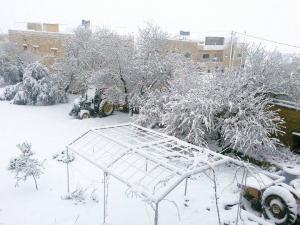وكالة ناسا