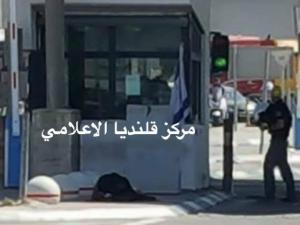 عملية طعن