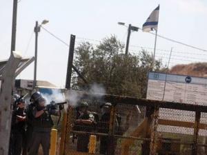 اخبار فلسطين