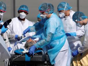 مستجدات كورونا: العالم يسجّل أكثر من 400 ألف إصابة بالفيروس خلال 24 ساعة 