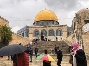 الكسواني: فتح المسجد الأقصى أمام المصلين في شهر رمضان
