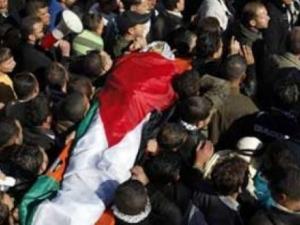 برادعية