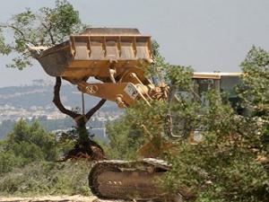 صورة توضيحية