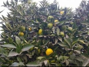 حالة الطقس: صاف وبارد نسبيا