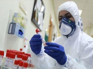 لا وفيات- تسجيل 215 إصابة جديدة بكورونا في غزة