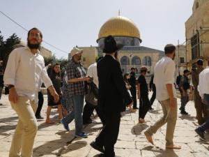 بدءًا من الخميس.. دعوات فلسطينية لتكثيف الرباط بالأقصى للتصدي للمستوطنين