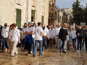مستوطنون يجددون اقتحامهم لباحات المسجد الأقصى