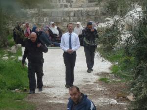 موشيه فيغلين