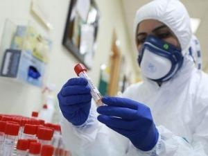 33 اصابة جديدة بفيروس كورونا في الخليل