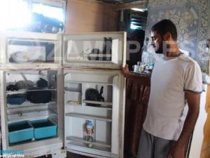 عائلة محتاجة في دير البلح
