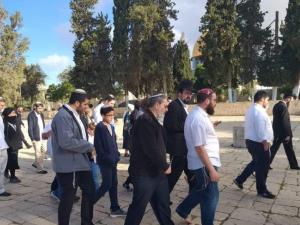مستوطنون يقتحمون الأقصى واعتقالات في نابلس وقلقيلية