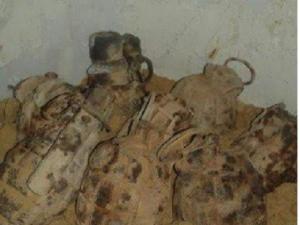 ثروت زيد