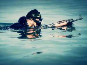 الضفادع البشرية