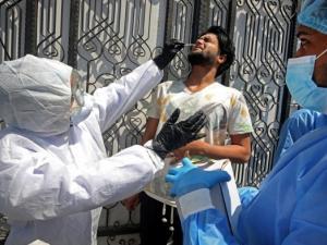 "كورونا فلسطين": 30 حالة وفاة و1529إصابة جديدة خلال الـ24ساعة الماضية