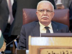 وزير الخارجية : خطوة الضم يجب ألا تتم ويجب ردعها ودفنها في مهدها