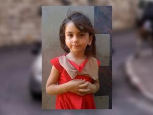 الشهيدة ايناس