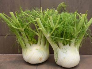 نبات الشومر