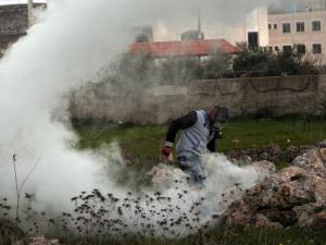 مواجهات سلواد