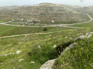 اعتقال مواطن بادّعاء محاولته خطف سلاح مستوطن