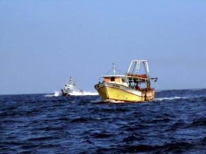 استشهاد صياد