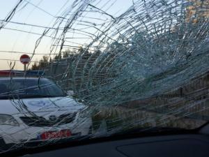 اخبار فلسطين