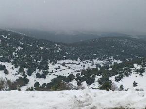 الراصد الجوي 