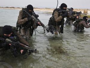 الكوماندوز البحري