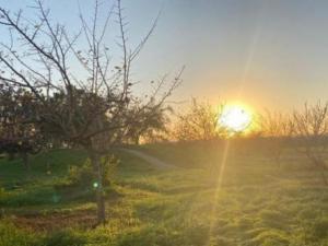 حالة الطقس: أجواء حارة خلال نهاية الأسبوع