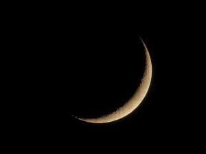المفتي يعلن موعد صلاة عيد الفطر