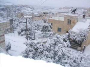 تساقط الثلوج