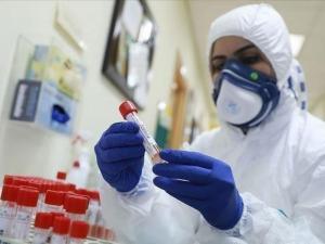 10 وفيات و870 إصابة جديدة بكورونا في غزة