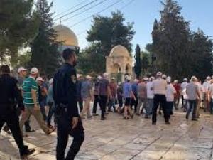 عشرات المستوطنين يقتحمون الأقصى والاحتلال يعتقل موظفًا