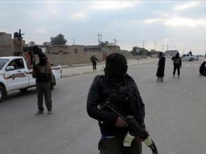 مسلحو داعش