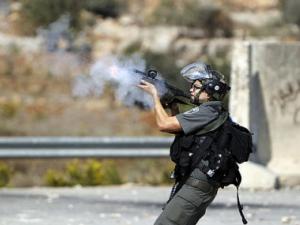 قوات الاحتلال 