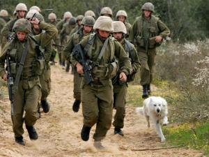 جيش الاحتلال